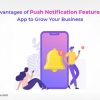 Advantages of Push Notification Feature in App to Grow Your Business - Freeweb2app